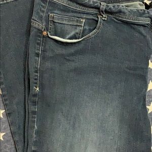 Lane Bryant Skinny straight leg.